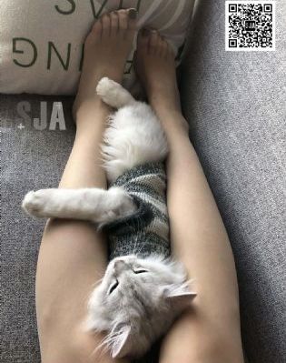 高压监狱未删减免费完整版