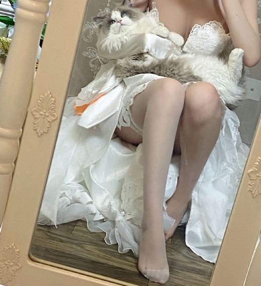 枪械师