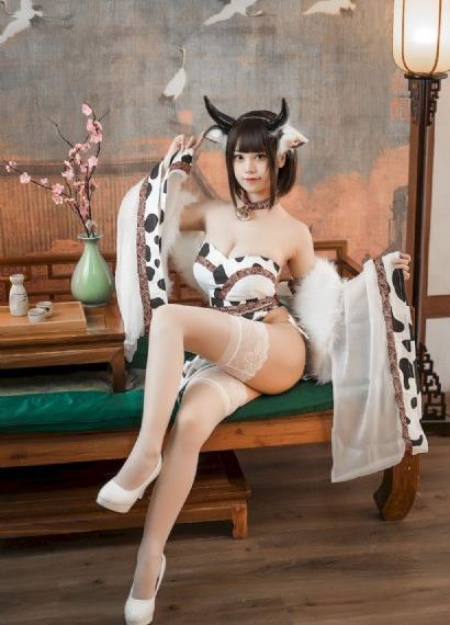人狗情未了