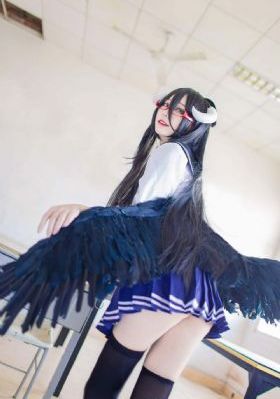 免费理论片手机在线播放